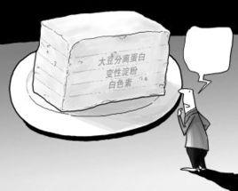 人造豆腐 人造豆腐