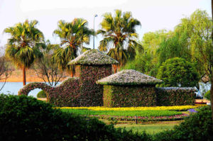 花樣龍水湖景區 花樣龍水湖景區