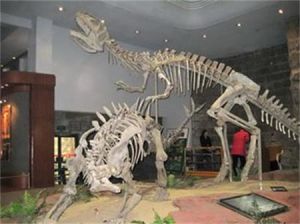 大山鋪龍 大山鋪龍