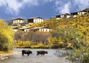 香格里拉悅榕莊 香格里拉悅榕莊