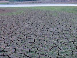 土壤惡化 土壤惡化