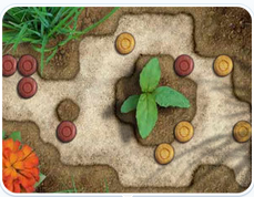 石頭花園豪華版 石頭花園豪華版