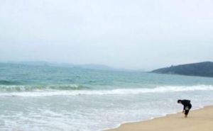 大梅沙金海岸 大梅沙金海岸