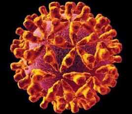 愛滋病及機會性感染免、減費藥物治療管理辦法 愛滋病及機會性感染免、減費藥物治療管理辦法