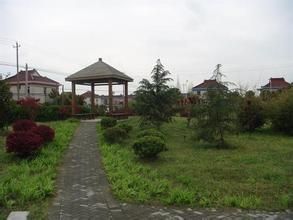 西聯村 西聯村