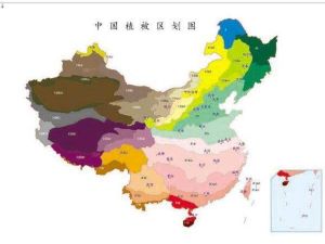 三向地帶性 三向地帶性