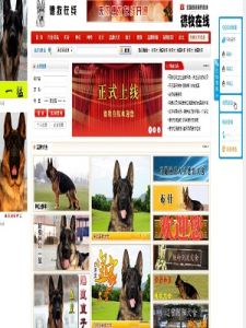 德牧線上論壇 德牧線上論壇