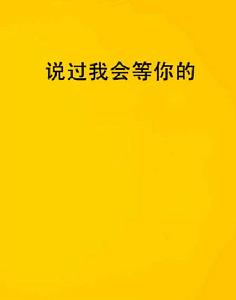 說過我會等你的 說過我會等你的