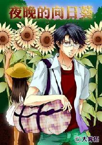 夜晚的向日葵