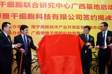 國際幹細胞聯合研究中心廣西基地成立