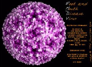 口蹄疫病毒