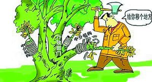 中介腐敗 中介腐敗