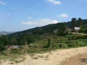 老林自然村 老林自然村