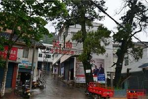 漢陽鎮[四川劍閣縣漢陽鎮]