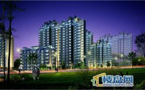 天賜良園夜景圖