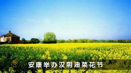 漢陰油菜花節 漢陰油菜花節