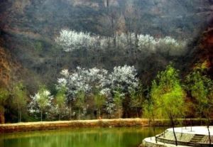 紅山櫻桃溝 紅山櫻桃溝