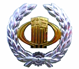 財稅庫銀橫向聯網系統 財稅庫銀橫向聯網系統