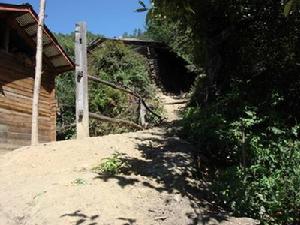 老左谷村通村道路