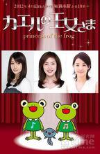 青蛙公主[日本2012年天海佑希主演電視劇]