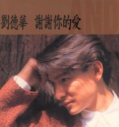 謝謝你的愛歌詞 謝謝你的愛歌詞