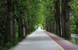 成都綠道 成都綠道