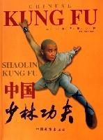 中國少林功夫 中國少林功夫