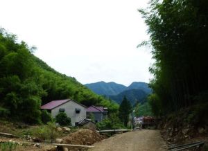 石板溪村 石板溪村