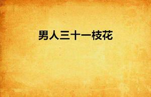 男人三十一枝花 男人三十一枝花