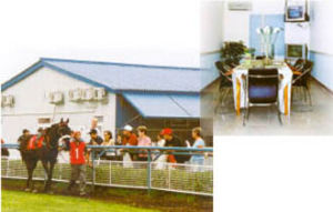 通順賽馬場跑道