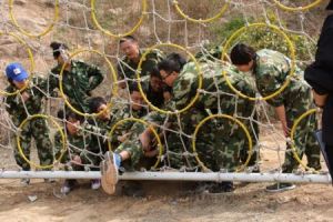 生死電網 生死電網