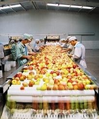 國投中魯果汁股份有限公司