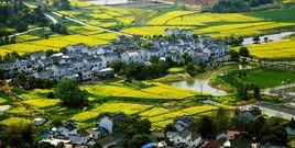 南京高淳國際慢城旅遊度假區 南京高淳國際慢城旅遊度假區