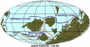 動物地理區主要有兩個，即東方太平洋區和西方大西洋區