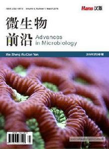 微生物前沿 微生物前沿