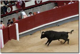 任勞任怨牛 任勞任怨牛