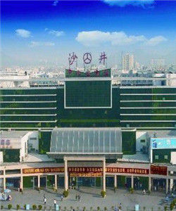 沙井汽車站 沙井汽車站