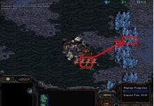 星際爭霸：母巢之戰[暴雪公司1998年創作的即時戰略遊戲]