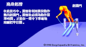 阿爾卑斯式滑雪 阿爾卑斯式滑雪