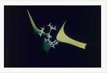 Mexoryl&amp;reg；XL