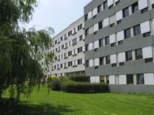 的里雅思特高等研究國際大學 的里雅思特高等研究國際大學