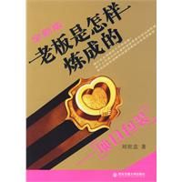 《老闆是怎樣煉成的——項目包裝》