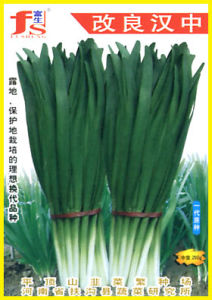 改良漢中 改良漢中