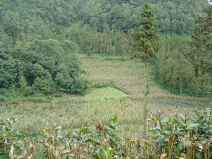 沙仁自然村 沙仁自然村