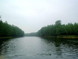 白馬河[山東省膠南市白馬河]