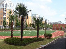 浦東新區新世界實驗國小 浦東新區新世界實驗國小