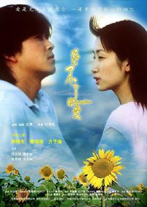 停不了的愛2001版