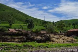 盤道溝村 盤道溝村