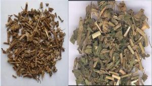 單方火麻仁 單方火麻仁