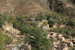 小崔家莊村 小崔家莊村